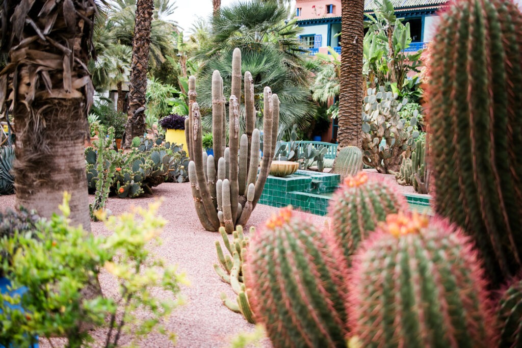 15-april-2025-marrakech-morocco-2026-01-09-11-14-05-utc