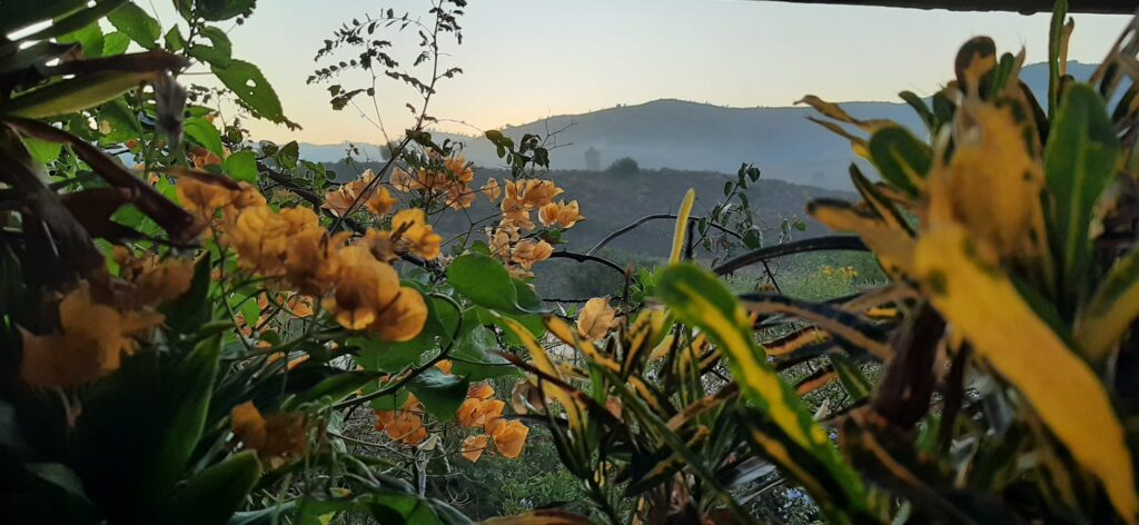 WhatsApp Image 2026-03-21 at 11.41.49 (1)