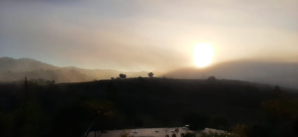 WhatsApp Image 2026-03-21 at 11.41.50