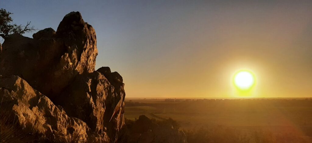 WhatsApp Image 2026-03-21 at 11.41.53