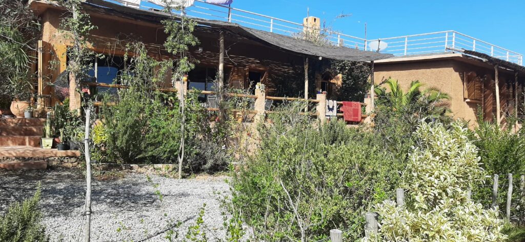 WhatsApp Image 2026-03-21 at 11.41.54