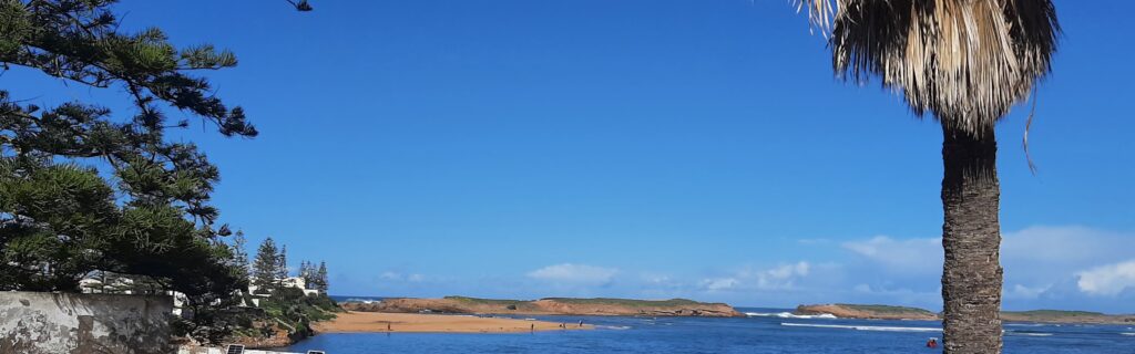 vue depuis la chambre araignée gourmande
