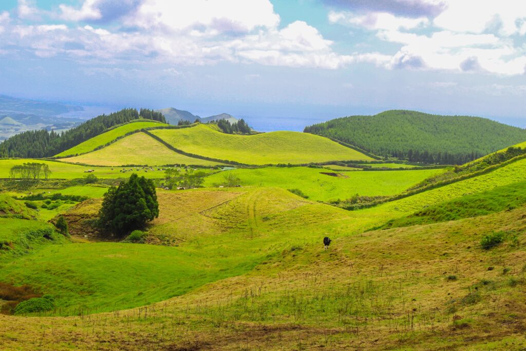 argoimages-island-4748097